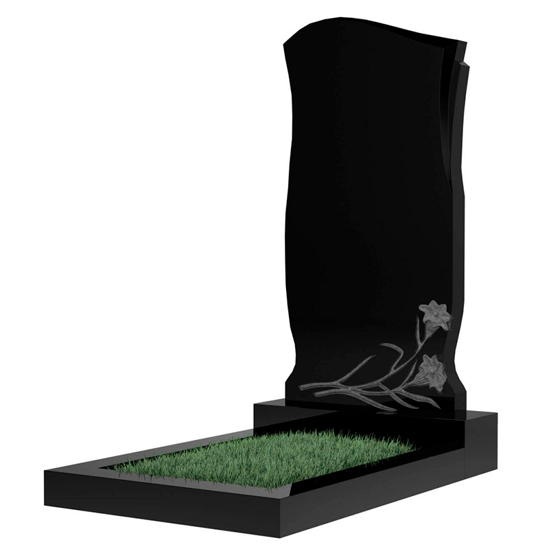 Памятник MS1110